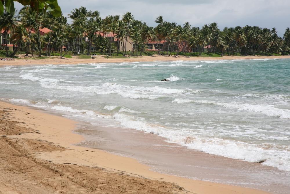 هوماكاو Park Royal Homestay Club Cala Puerto Rico المظهر الخارجي الصورة
